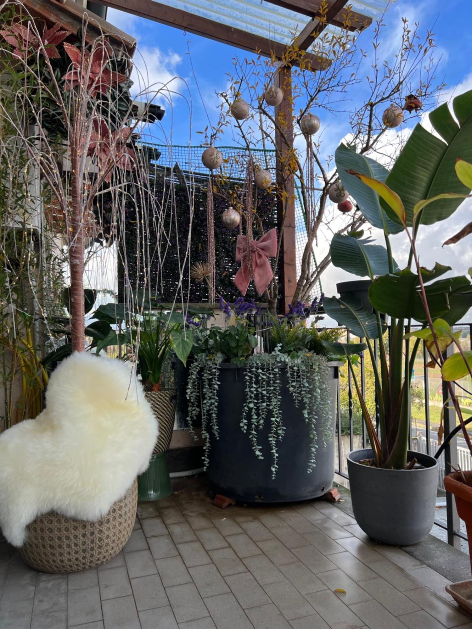 Casa Italia Hospitality Apartment Lunghezza ภายนอก รูปภาพ